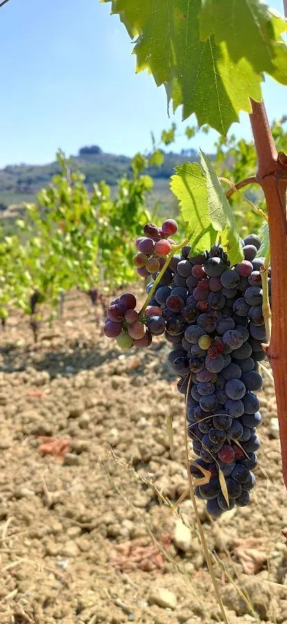 Agriturismo Sotto La Rocca Carmignano Farm stay