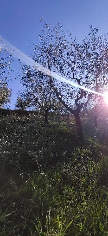 Agriturismo Sotto La Rocca Carmignano